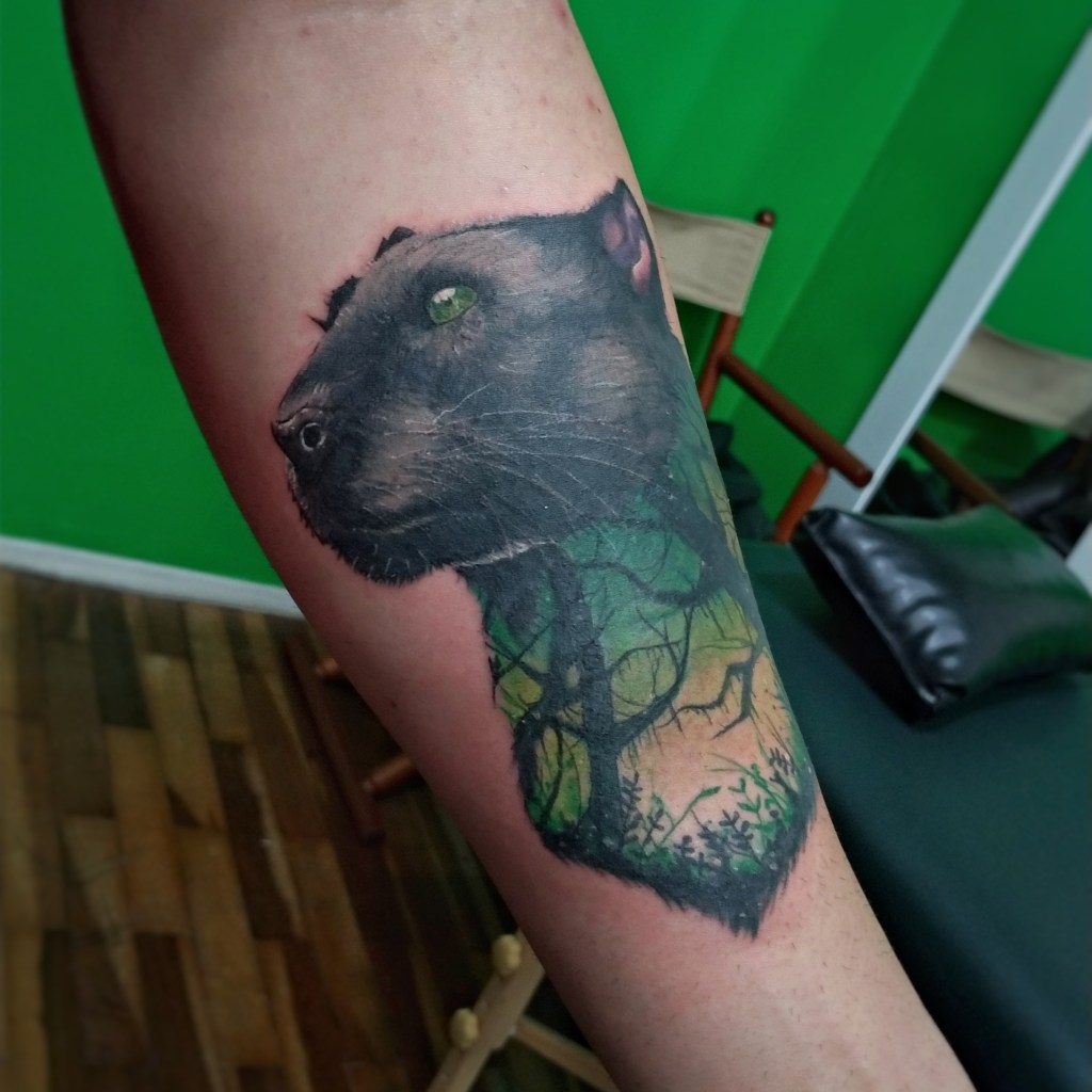 Puma tattoo, tattoo colorida, pantera, pantera tattoo