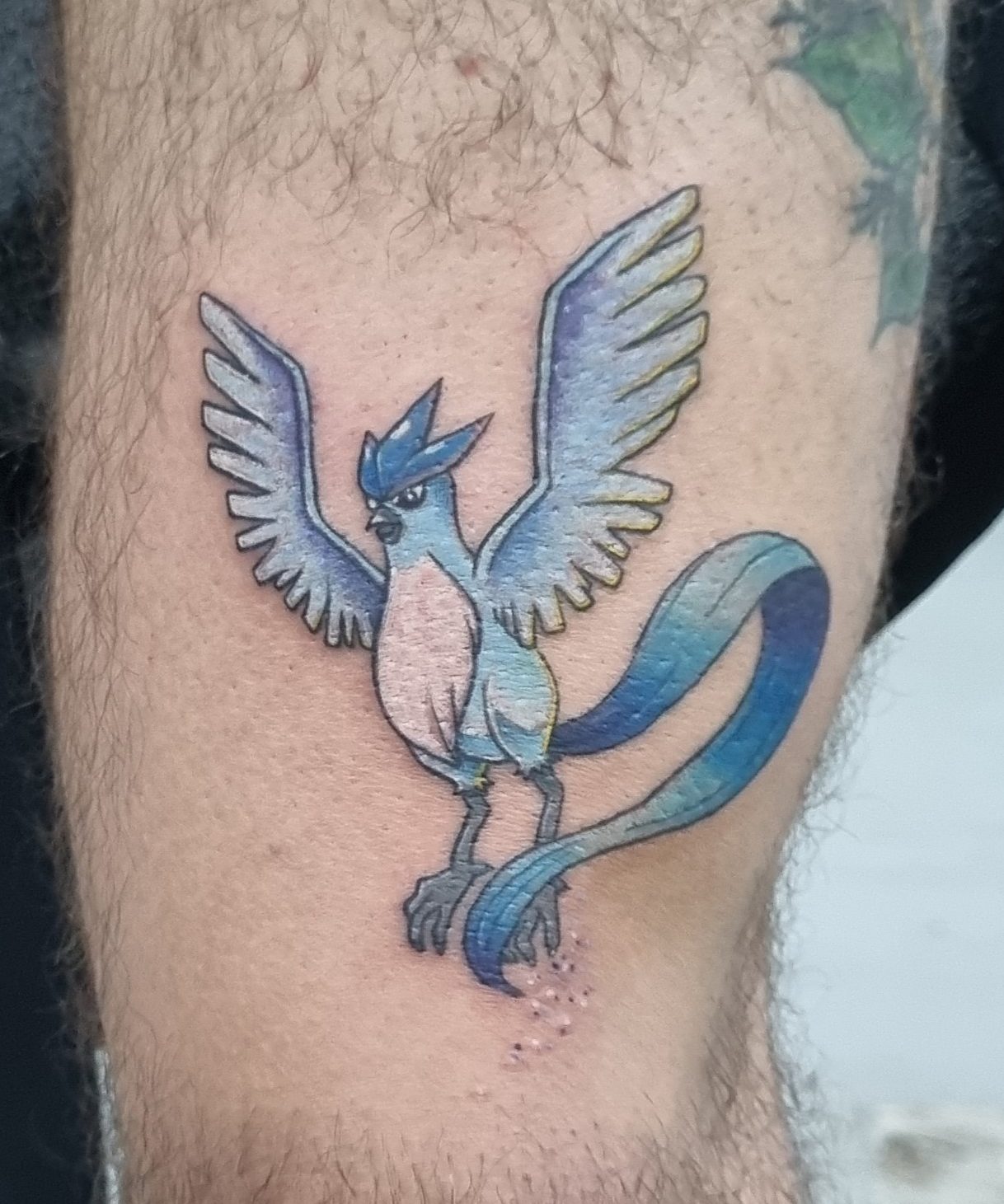Articuno Tattoo Churus Savioli