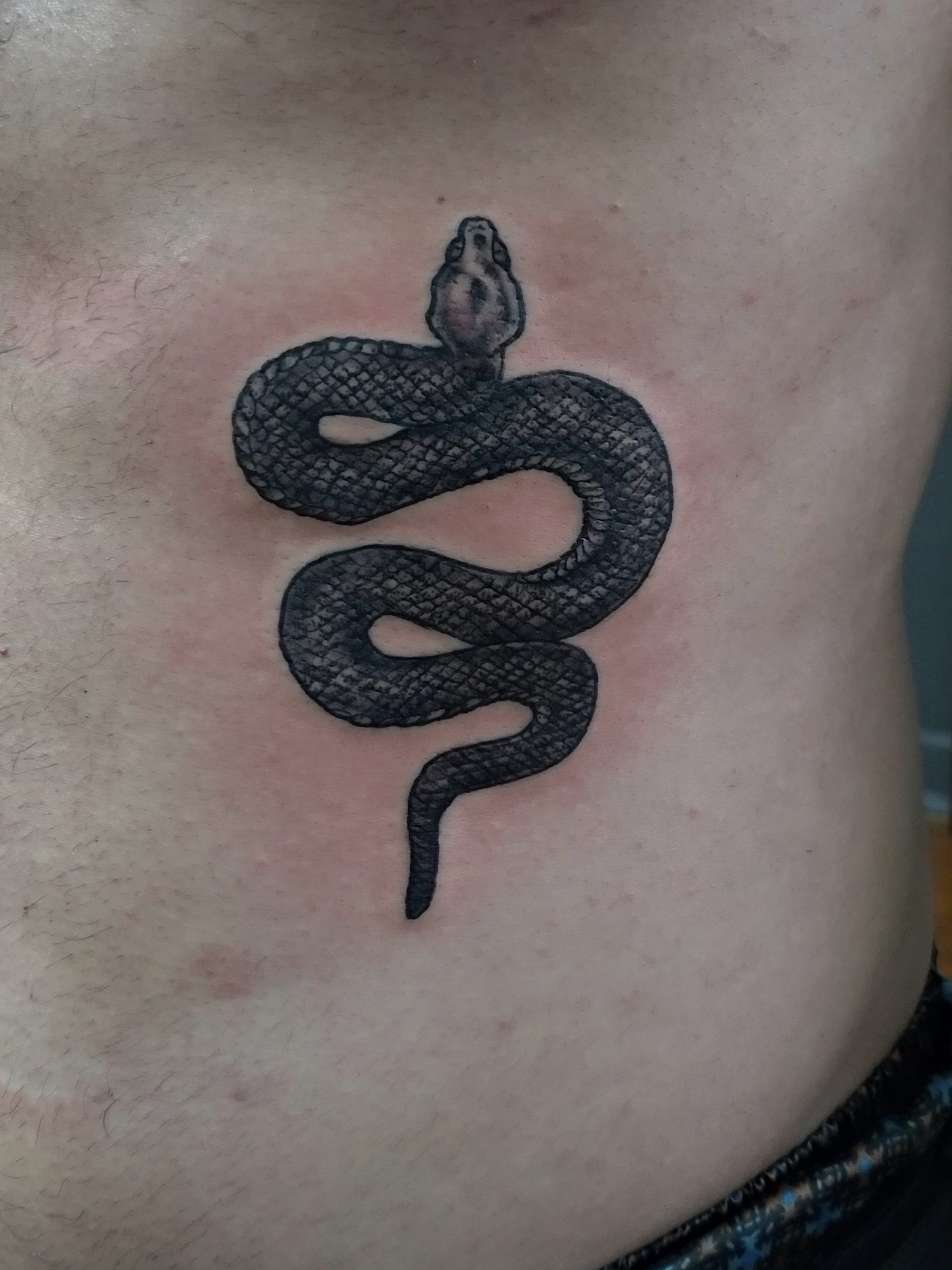 Churus Savioli, Cobra, cobra tattoo, preto e branco tattoo