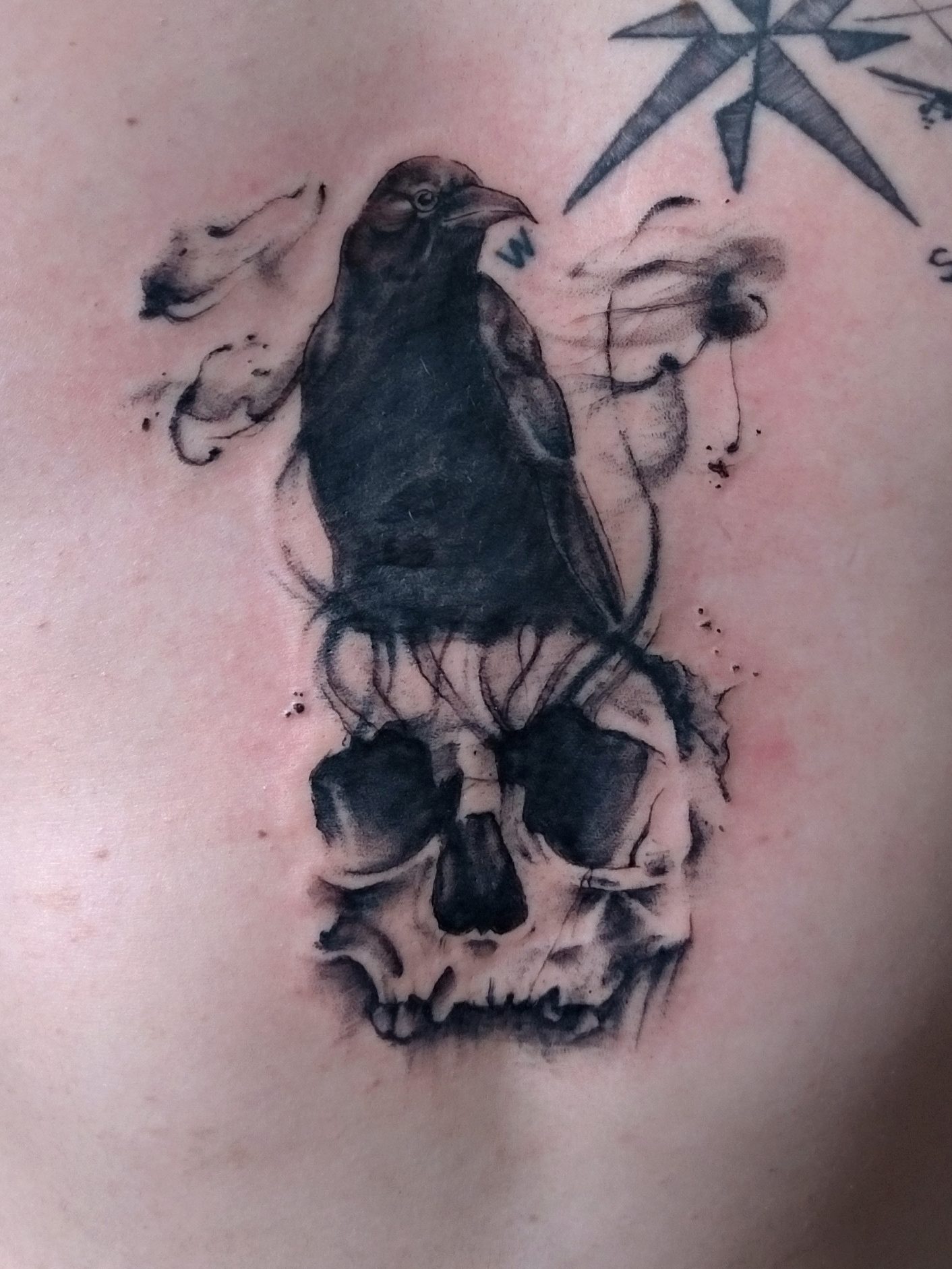 Churus Savioli, corvo, corvo tattoo, preto e branco tattoo, cranio tattoo