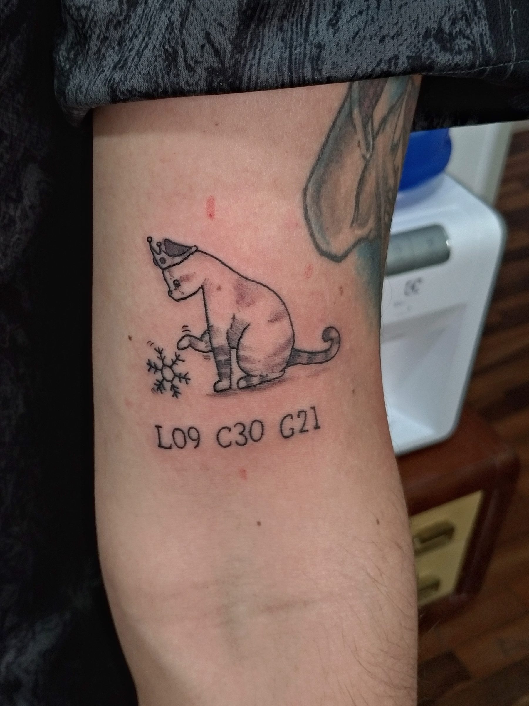 Churus Savioli, Gatinho, gatinho tattoo, gatinha princesa