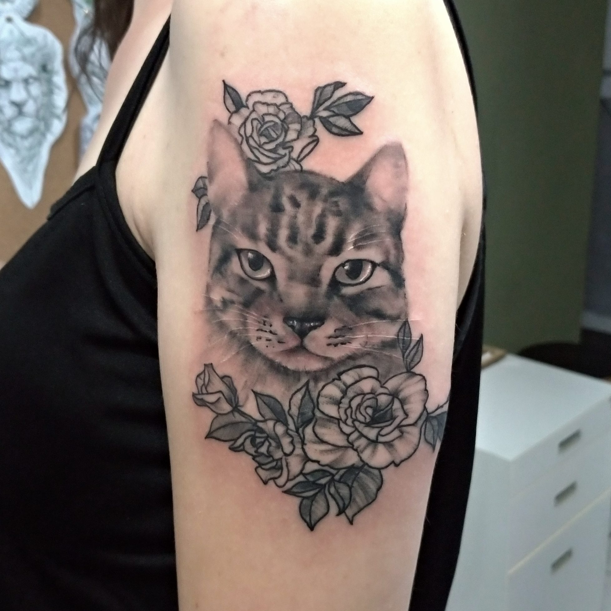 Churus Savioli, Gato, Gato tattoo, gato preto e branco tattoo, preto e branco tattoo