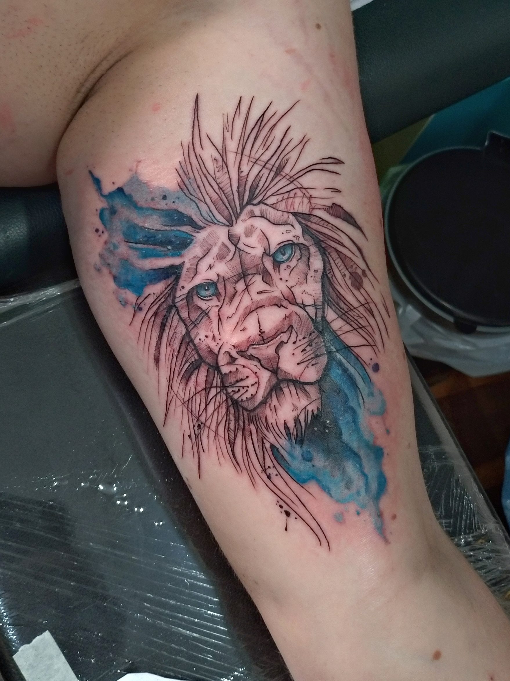 Churus Savioli, Leão tattoo, SKetch tattoo, Aquarela Tattoo, leão geometrico